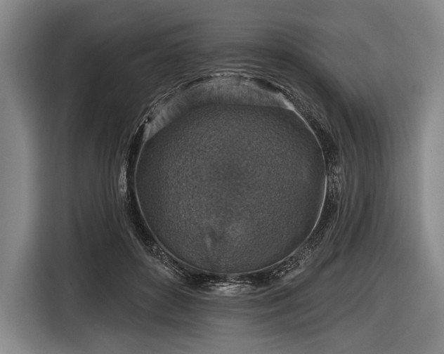 X0000116490504200912161321