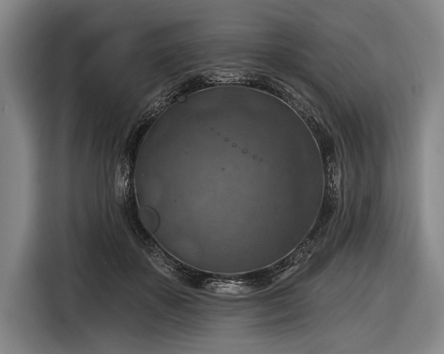 X0000116490507200912161321