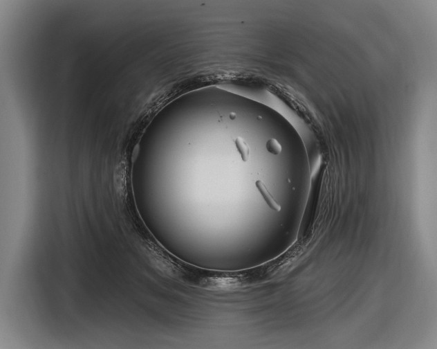 X0000116490509200912161321