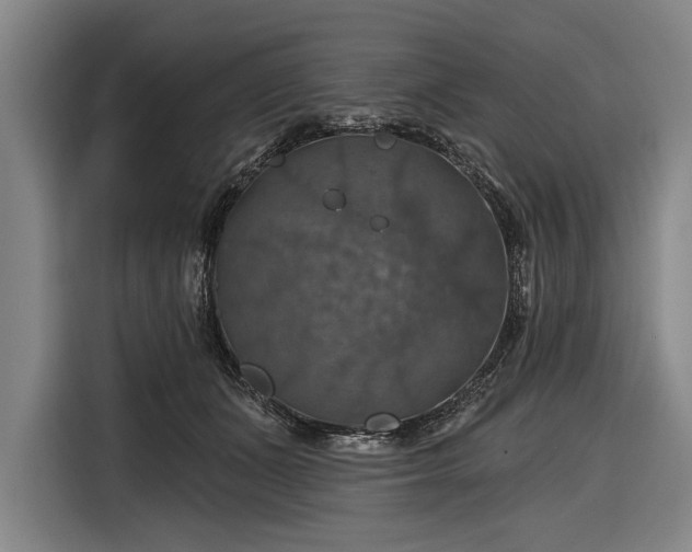 X0000116490511200912161321