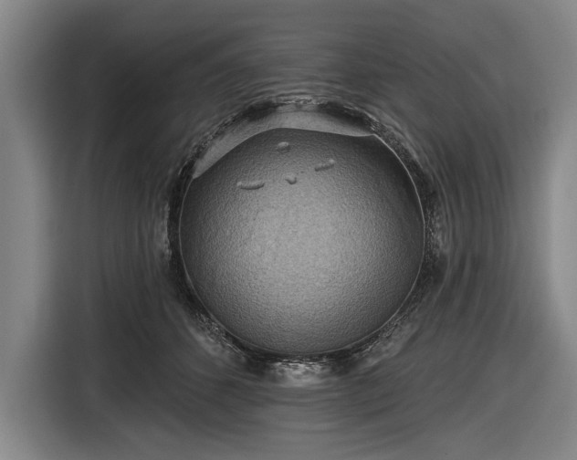 X0000116490512200912161321