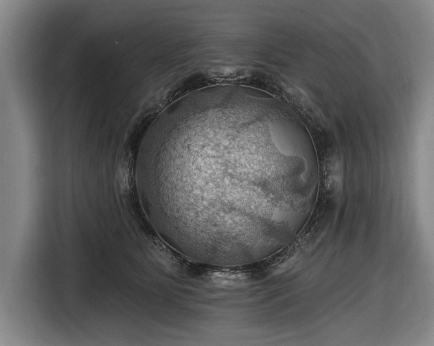 X0000116490515200912161321