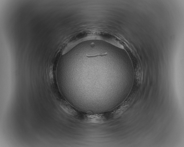 X0000116490516200912161321