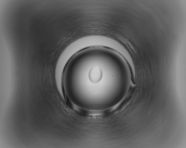 X0000116490517200912161321