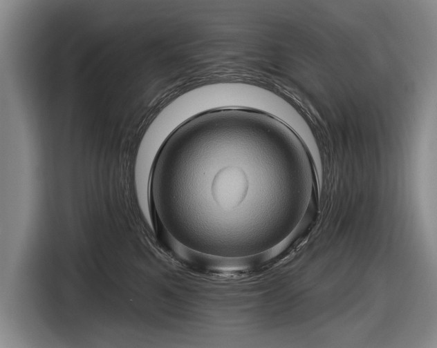 X0000116490521200912161321