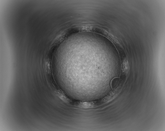 X0000116490522200912161321