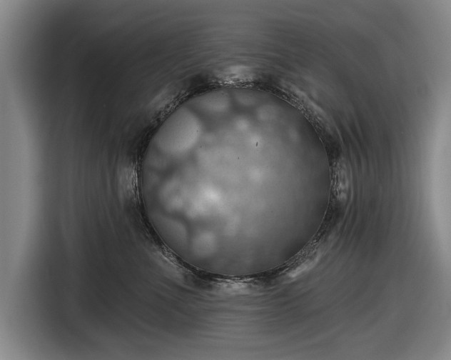 X0000116490523200912161321