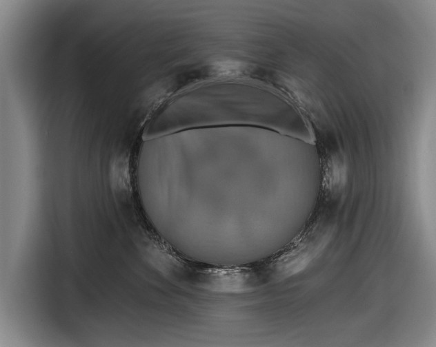 X0000116490524200912161321