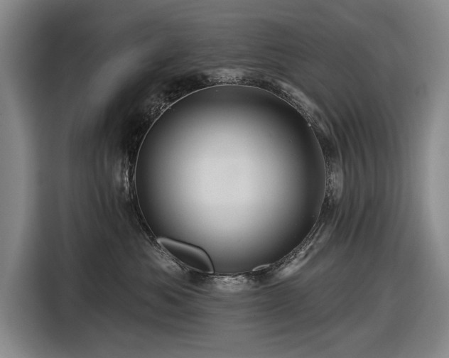 X0000116490525200912161321