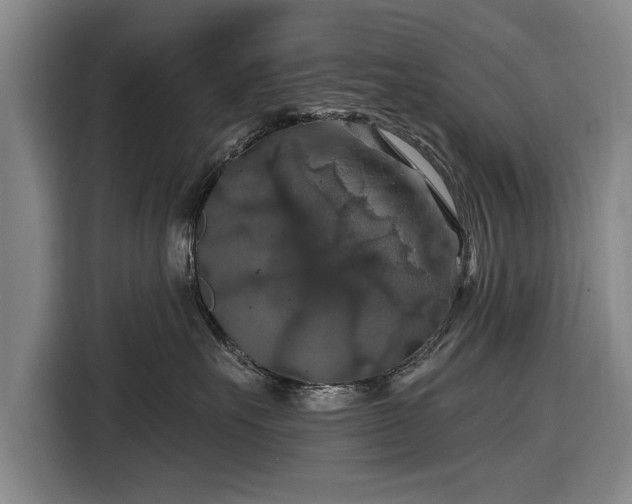 X0000116490527200912161321