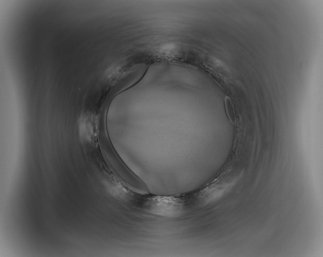 X0000116490528200912161321