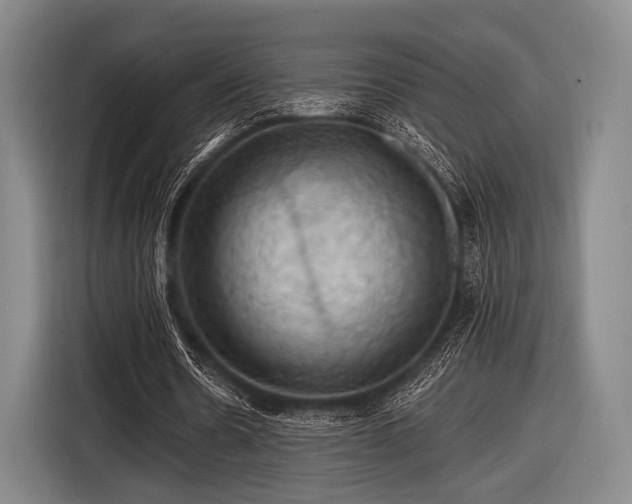 X0000116490530200912161320