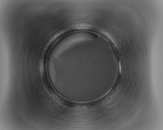 X0000116490531200912161320