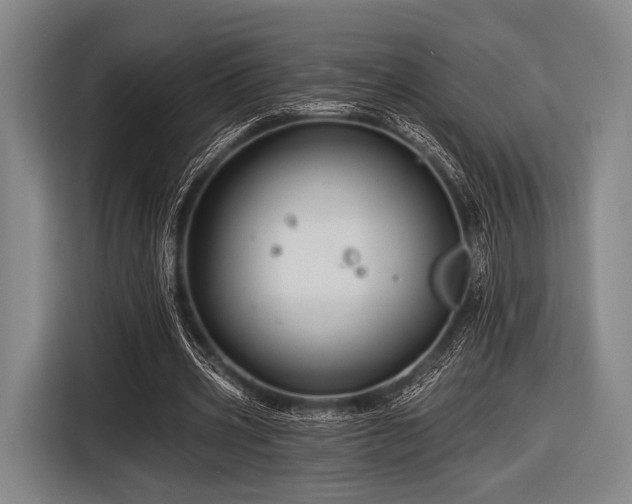 X0000116490533200912161320