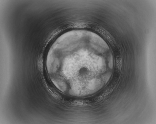 X0000116490534200912161320