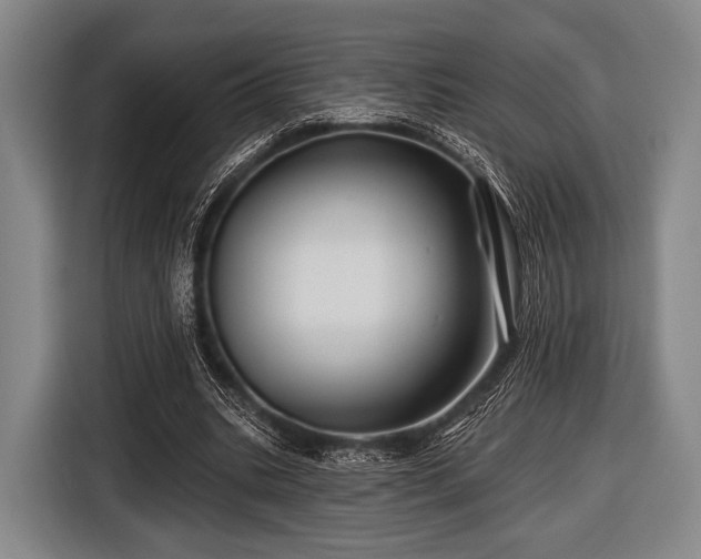 X0000116490535200912161320