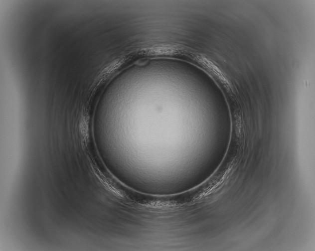 X0000116490537200912161320