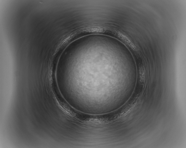 X0000116490538200912161320