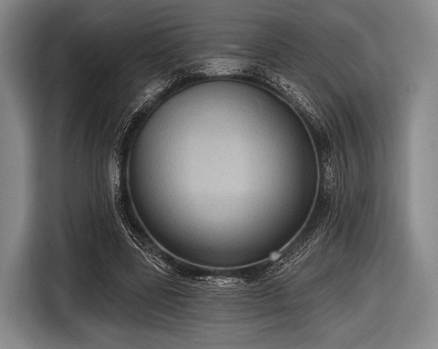 X0000116490539200912161320