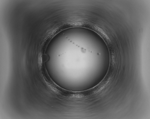 X0000116490541200912161320