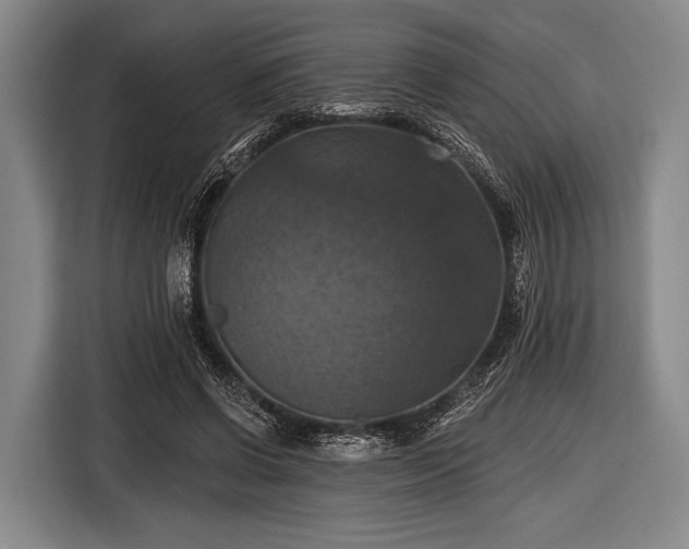 X0000116490542200912161320