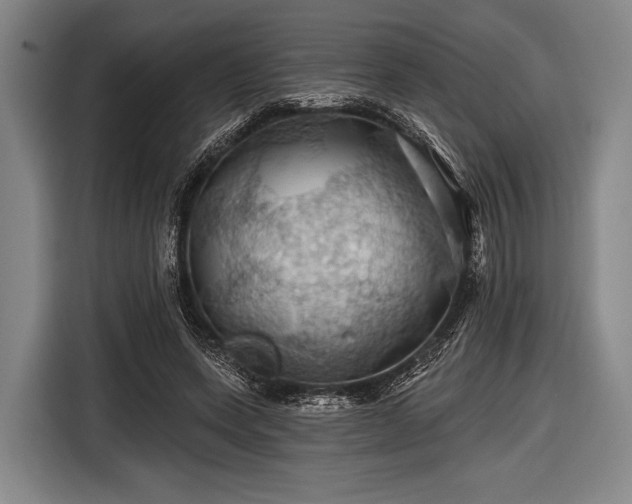 X0000116490543200912161320