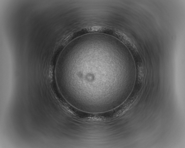 X0000116490545200912161321