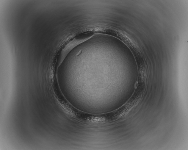 X0000116490546200912161321