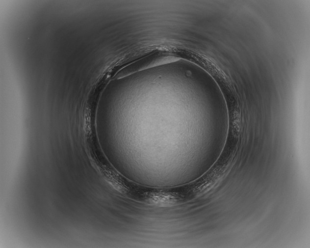 X0000116490547200912161321