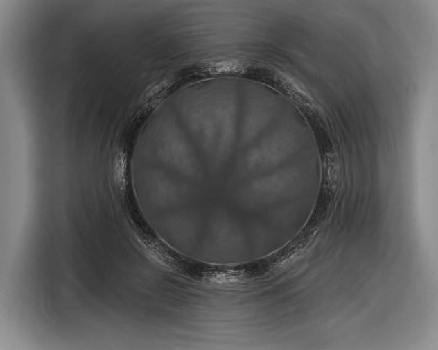 X0000116490550200912161321