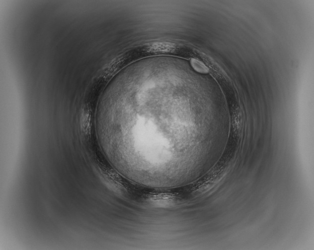 X0000116490551200912161321