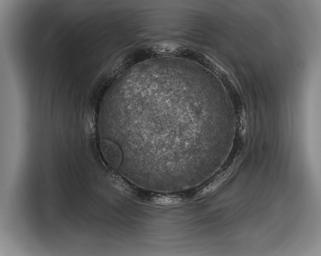 X0000116490561200912161321