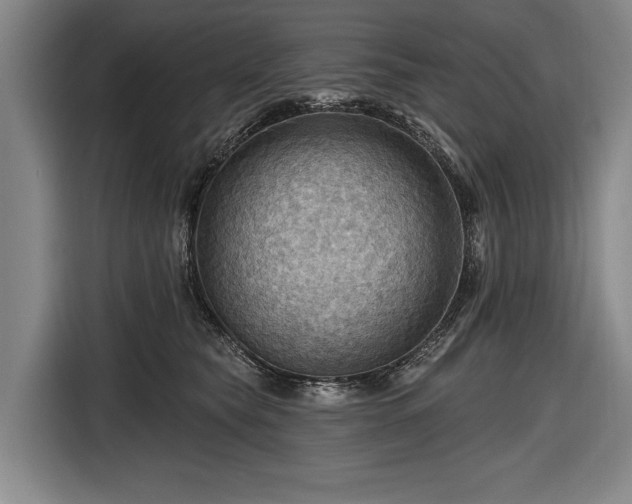 X0000116490565200912161321