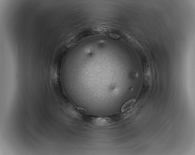 X0000116490566200912161321