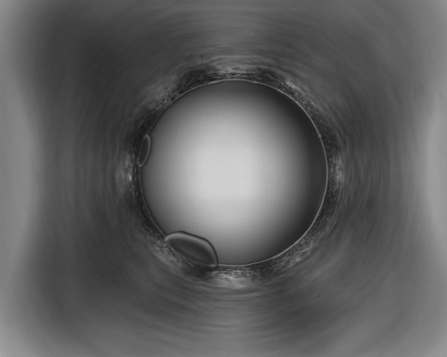 X0000116490567200912161321