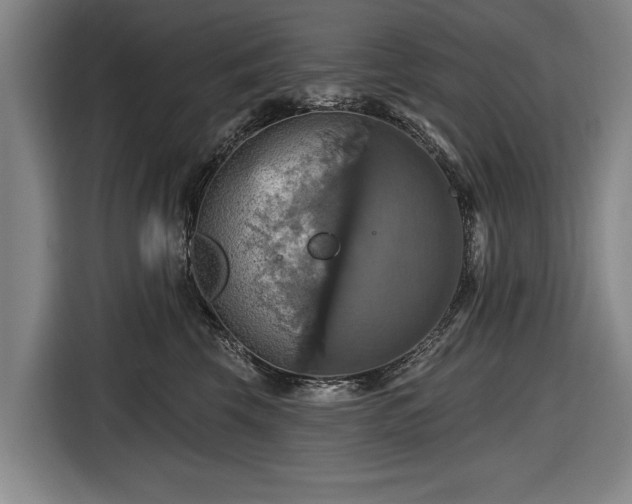 X0000116490569200912161321