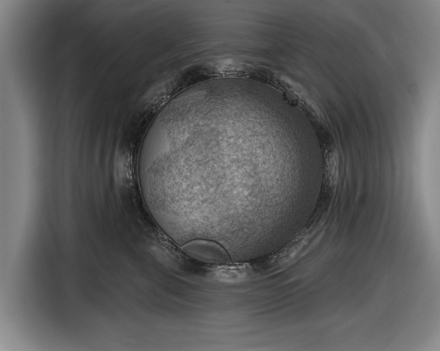 X0000116490571200912161321