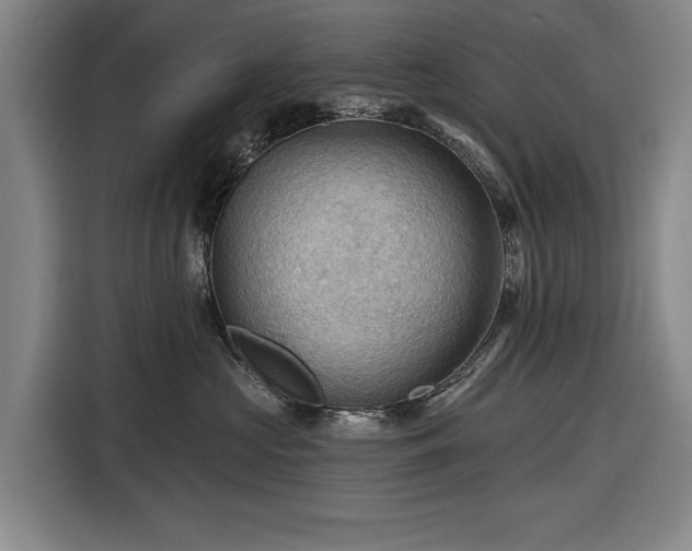 X0000116490573200912161321