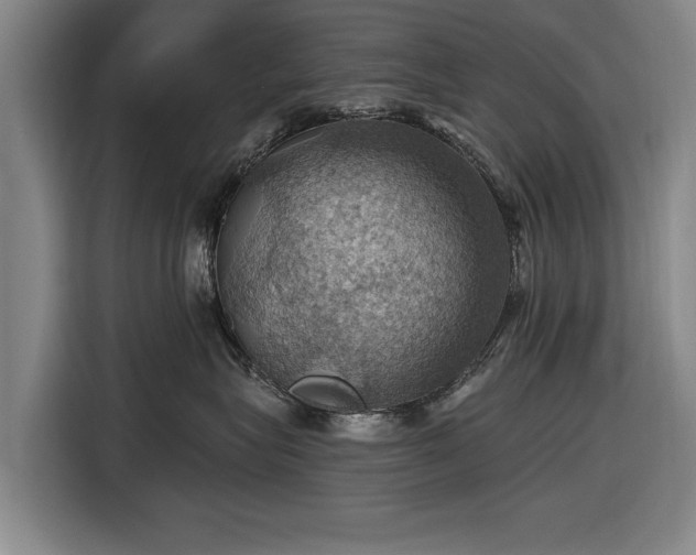 X0000116490575200912161321