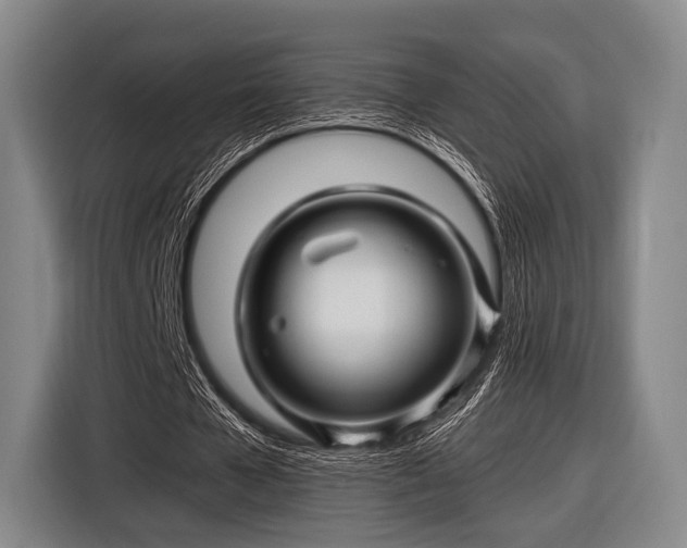 X0000116490577200912161320