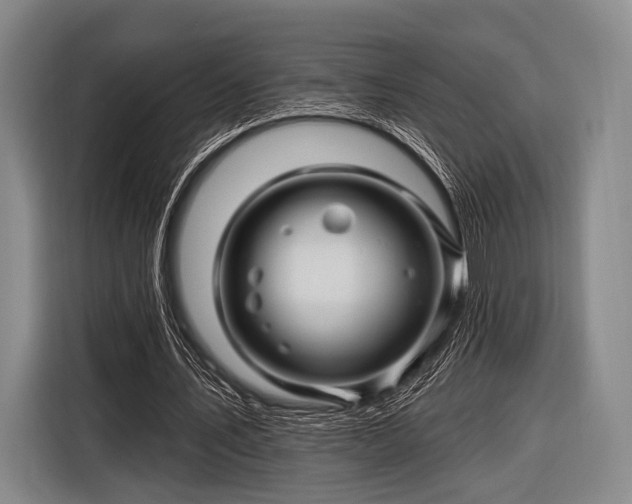 X0000116490579200912161320