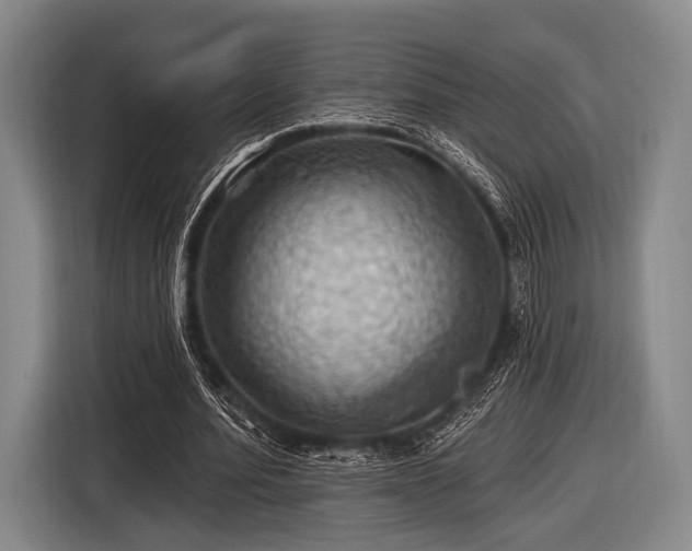 X0000116490580200912161320