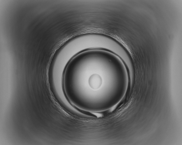 X0000116490581200912161320