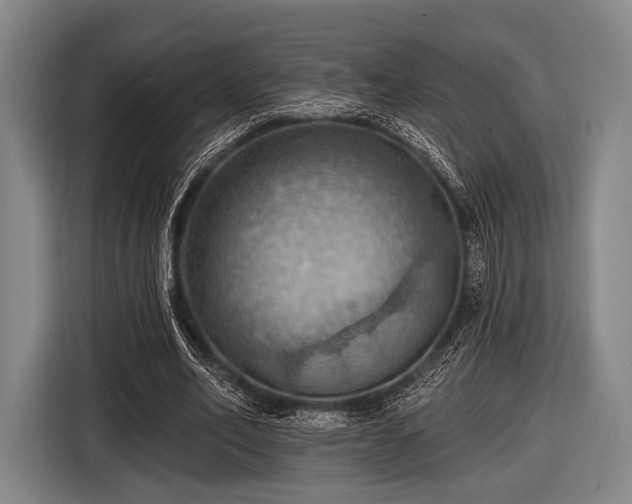 X0000116490582200912161320