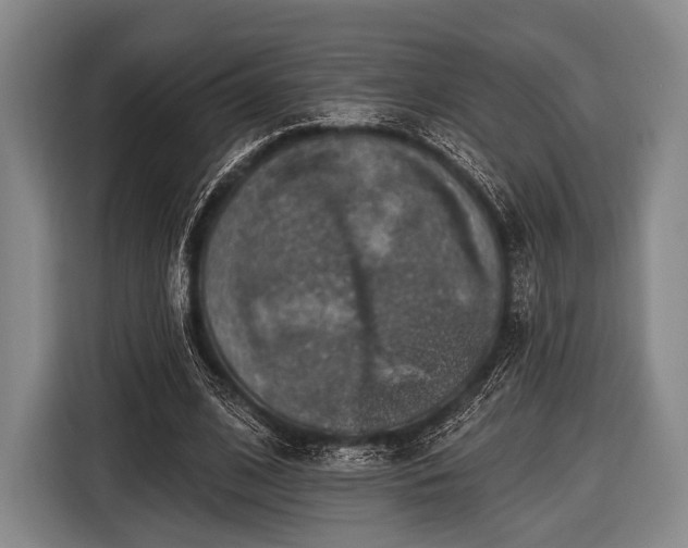 X0000116490584200912161320