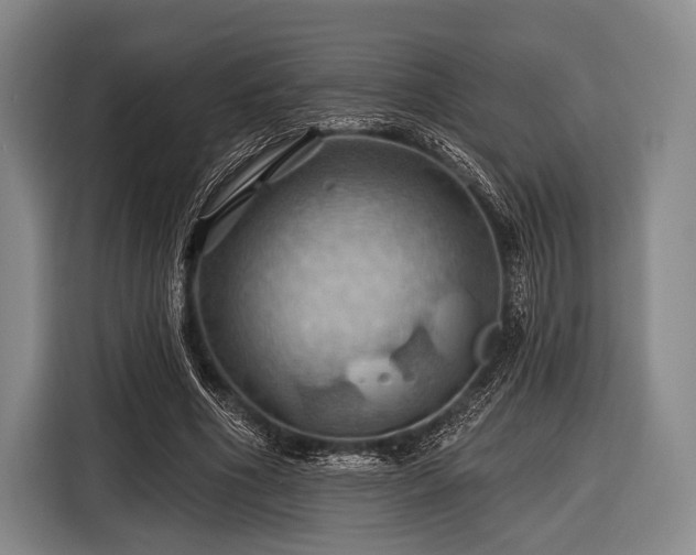 X0000116490586200912161320