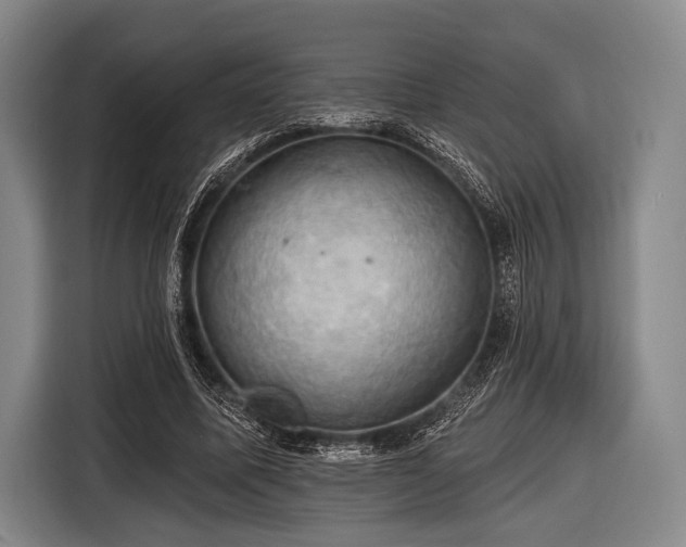 X0000116490587200912161320