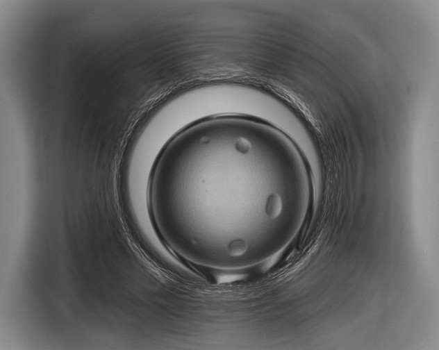 X0000116490589200912161320