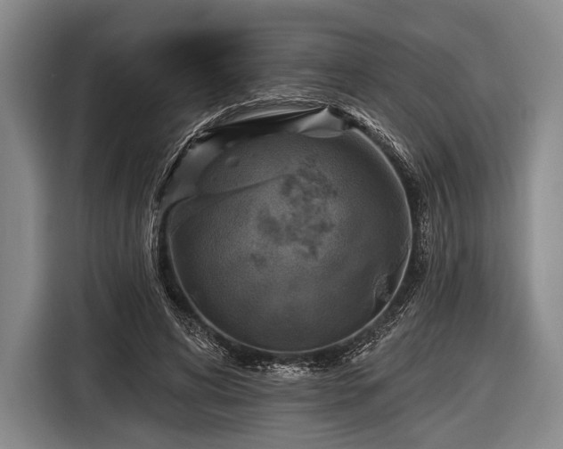 X0000116490592200912161320