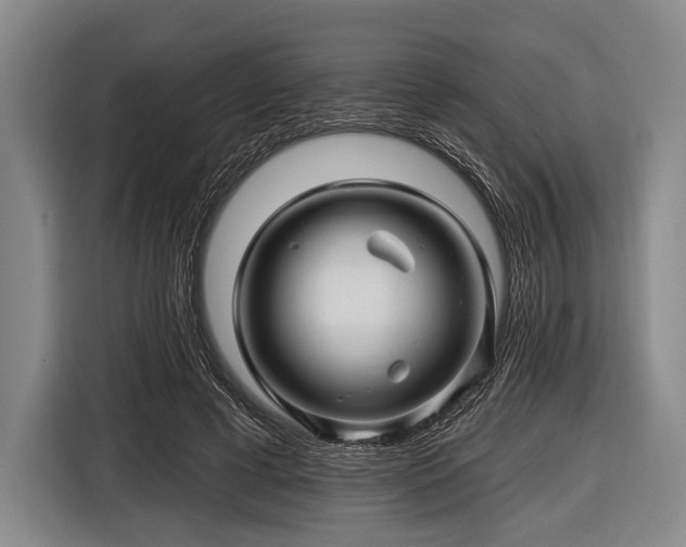 X0000116490593200912161320